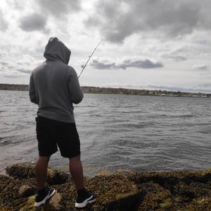 Meet your Posher, Steve